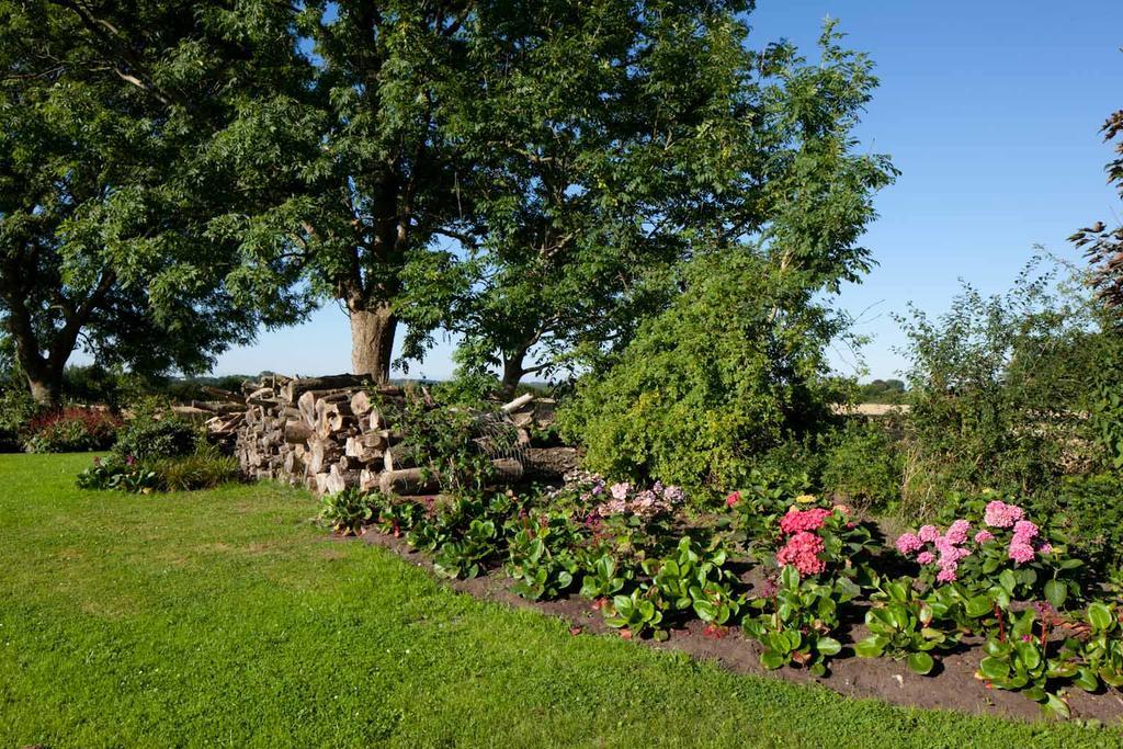 Kiekutsland
