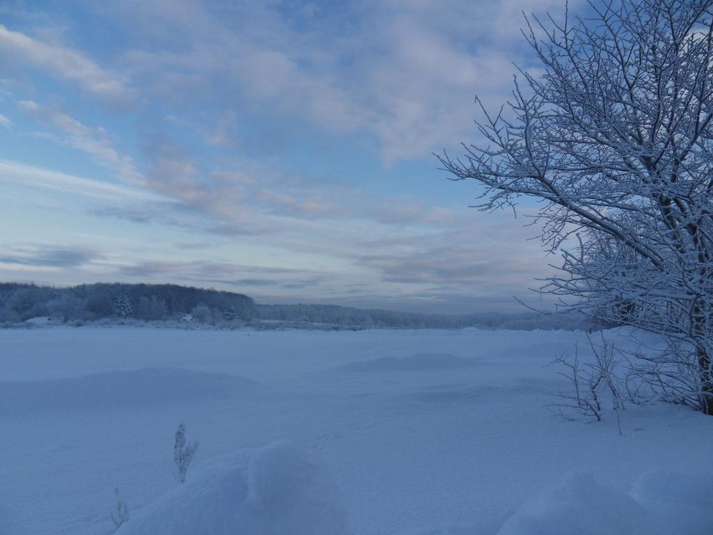 Kiekutsland *